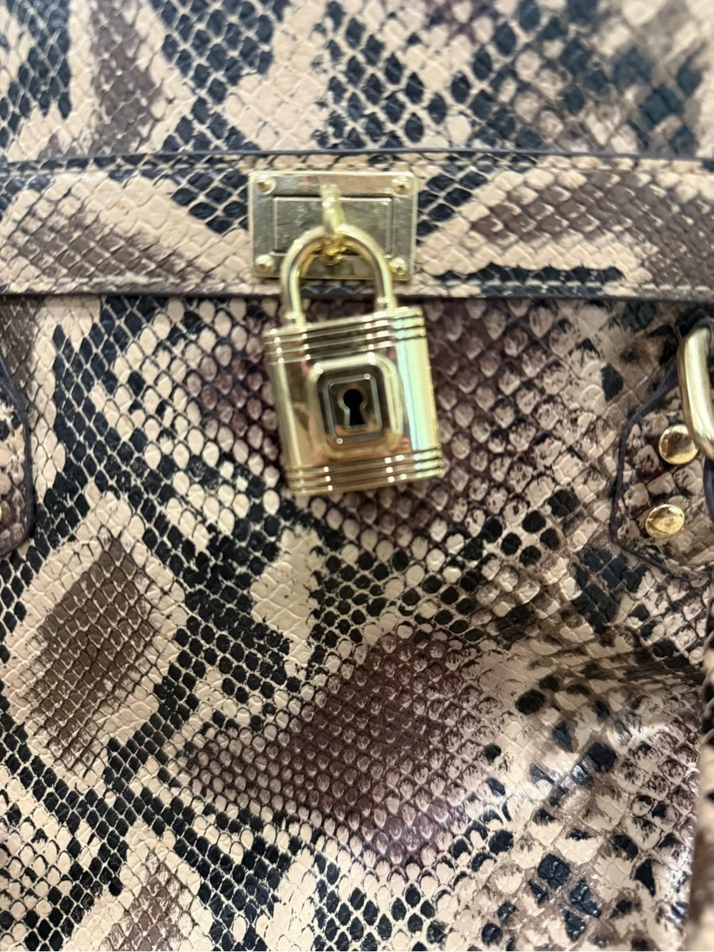Rosetti Python Snakeskin Print Satchel Handbag Tote Purse Gold Lock Faux Leather